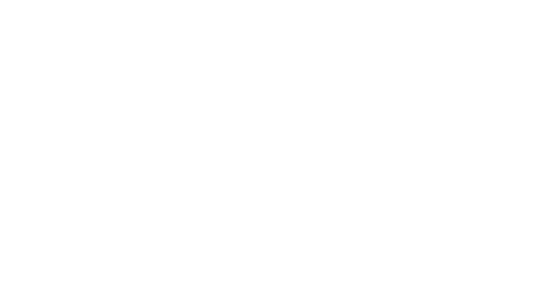 Nami Minnesota Logo