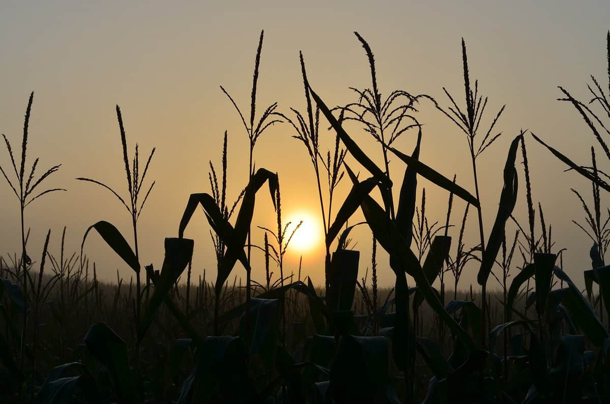 Sunrise 429902 1280